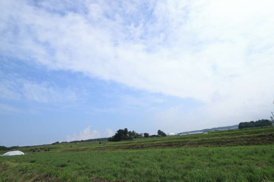 八ヶ岳エコーライン(八ヶ岳の麓)