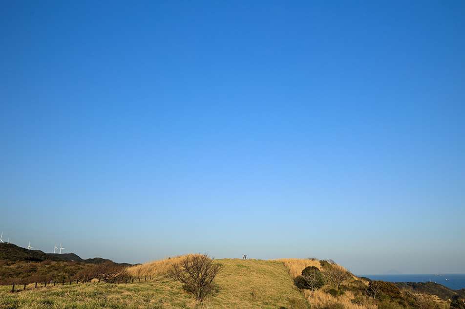 日ユウスゲ公園（東方面）