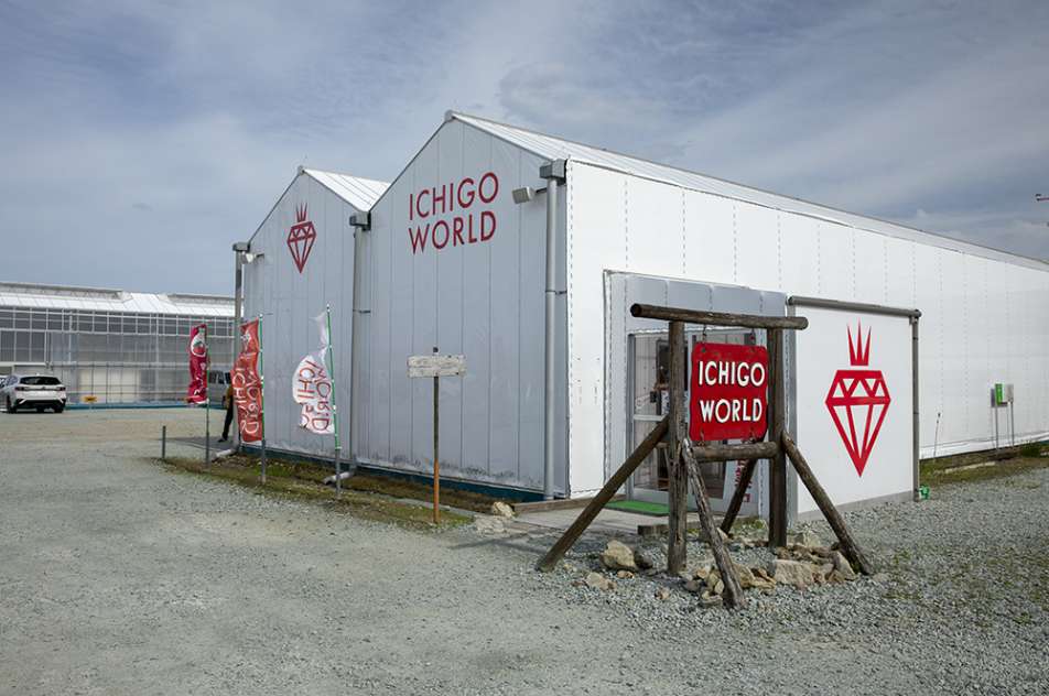 イチゴワールド