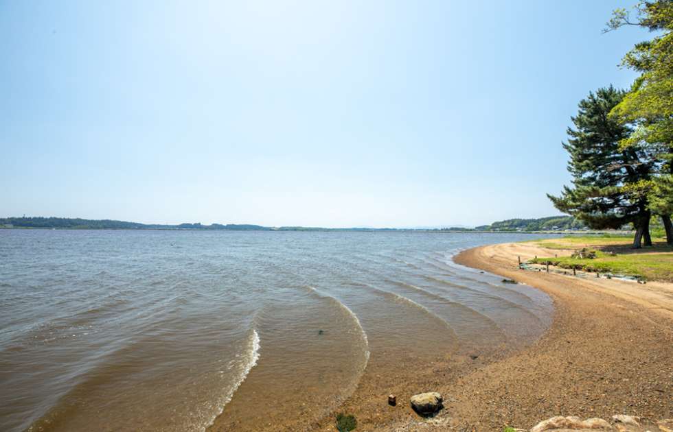 涸沼の親沢園地