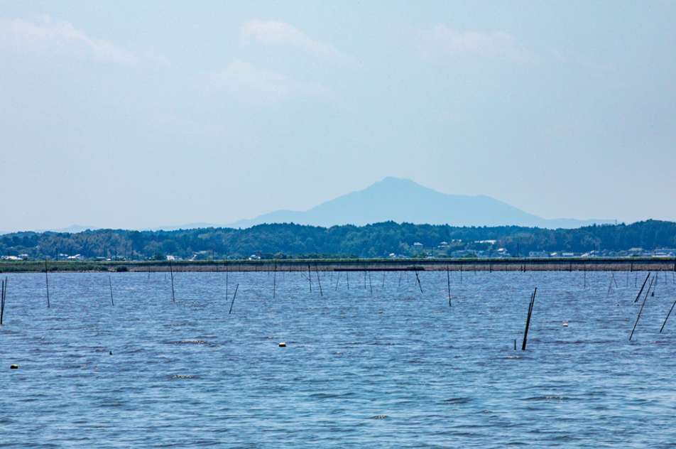 先ほどいた筑波山