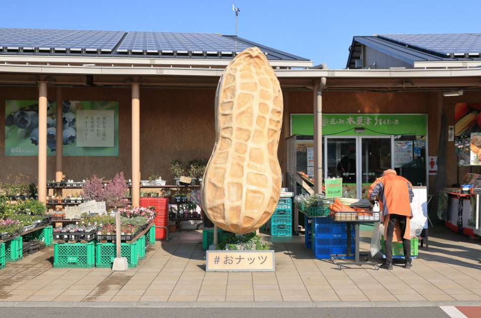 道の駅木更津うまくたの里