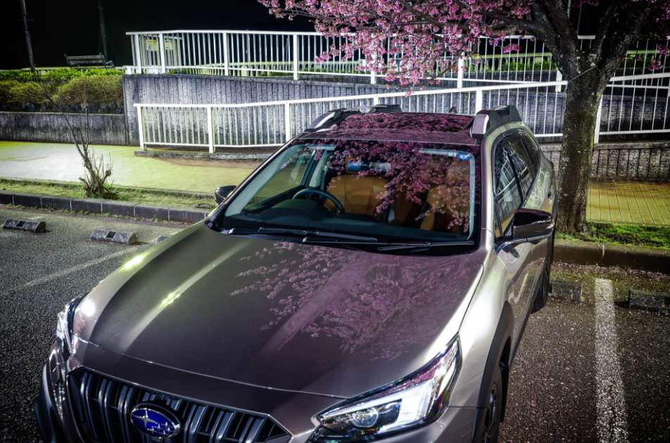 月夜の桜ドライブ