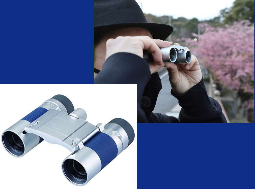 Vixen 双眼鏡 meglass（メグラス）H6×16