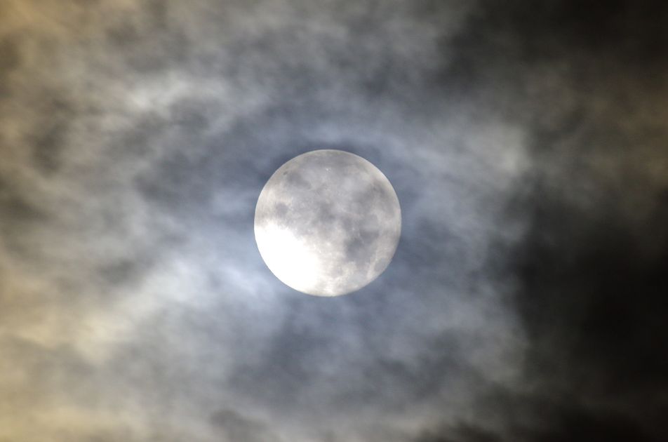 朧月（おぼろづき）