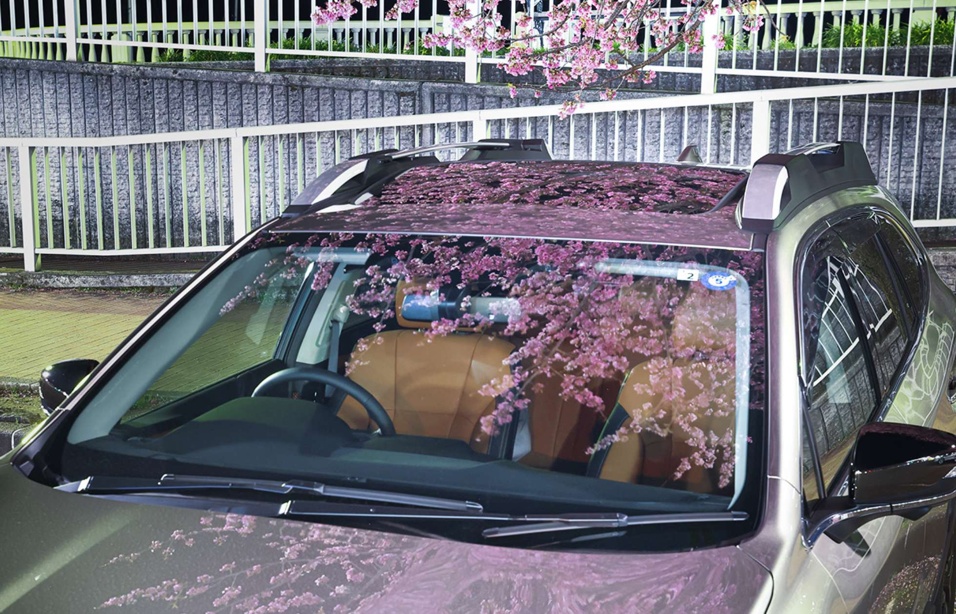 夜桜と愛車のツーショット