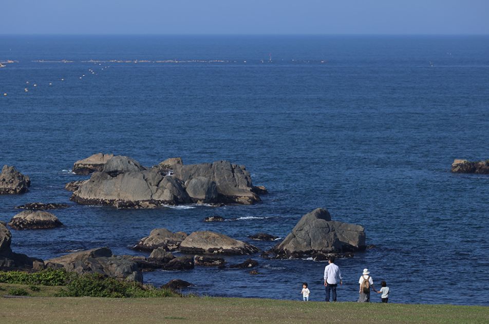 種差海岸