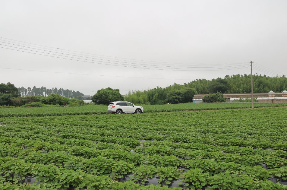 爆買いスタート