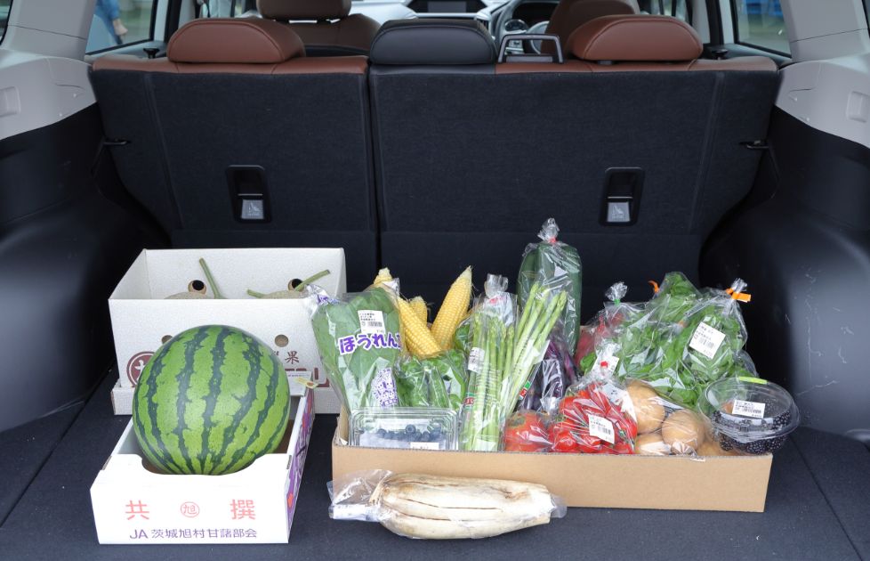 購入した新鮮野菜