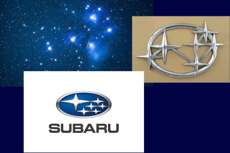 今年もすばるの季節がやってきました。