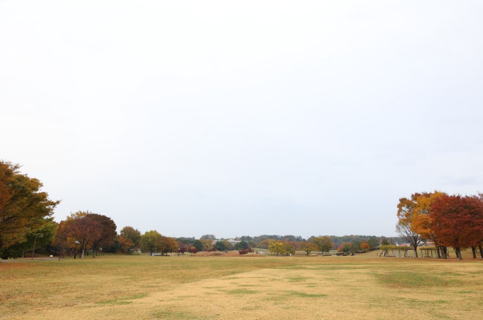 雲の切れ間から満月が